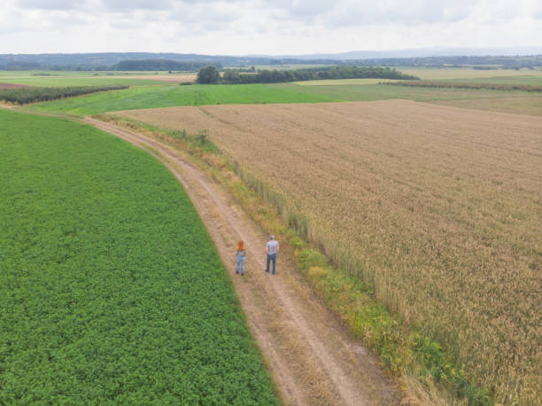 istock Farmers at their abundant agricultural fields 1497617091
