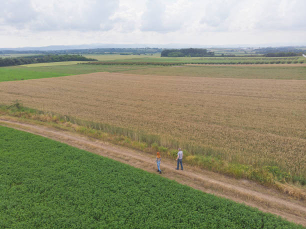 istock Farmers at their abundant agricultural fields 1497617092