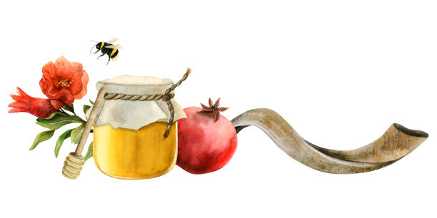 ilustrações, clipart, desenhos animados e ícones de rosh hashaná modelo de banner de saudação horizontal com jarra de mel, frutas e flores de romã, ilustração de aquarela de chifre de shofar longo isolada em branco para o ano novo judaico e yom kipur - long horn