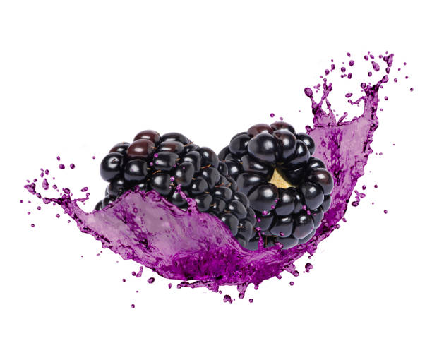 suco de amora - blackberry fruit mulberry isolated - fotografias e filmes do acervo