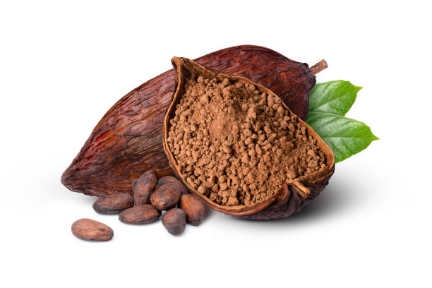 grano de cacao y cacao en polvo con hoja verde aislado sobre blanco - polvo de cacao fotografías e imágenes de stock