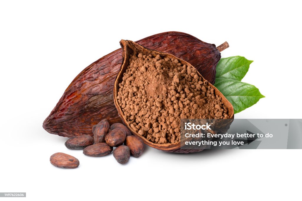 Cocoa bean and cacao powder with green leaf isolated on white Cocoa bean and cacao powder with green leaf isolated on white background. Cocoa Powder Stock Photo