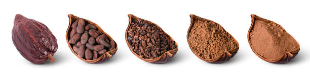 istock cocoa fruit, cacao beans, cocoa powder 1497630296