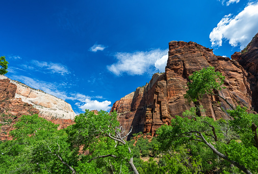 Zion National park,Utah,usa. 05/13/2023 : zion narrow in Zion National park,Utah,usa.