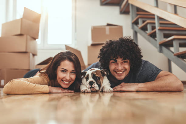 istock Fun Time In Our New Home 1497631738