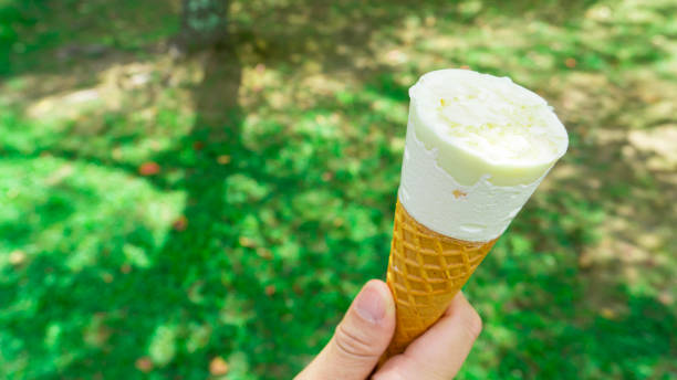 istock Cold ice cream to eat outside in summer 1497635164