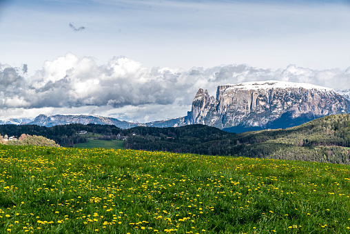 an impressive background of the beautiful and typical mountain landscape of south tyrol and part of the dolomites