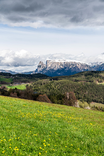 meadow covered with dandelions, with an old church where only the bell tower can be seen, in front of the impressive and beautiful mountain landscape of the famous Vajolet Mountain. With rain clouds
