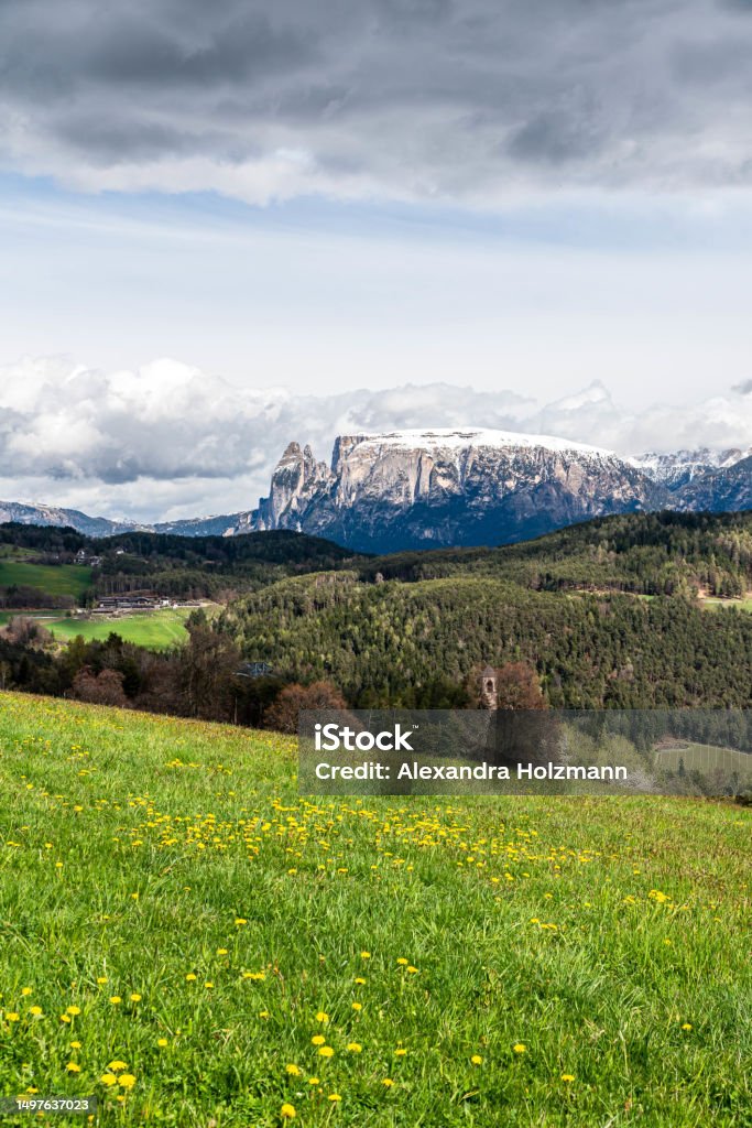 beautiful portrait of the vajolet mountain meadow covered with dandelions, with an old church where only the bell tower can be seen, in front of the impressive and beautiful mountain landscape of the famous Vajolet Mountain. With rain clouds Alto Adige - Italy Stock Photo