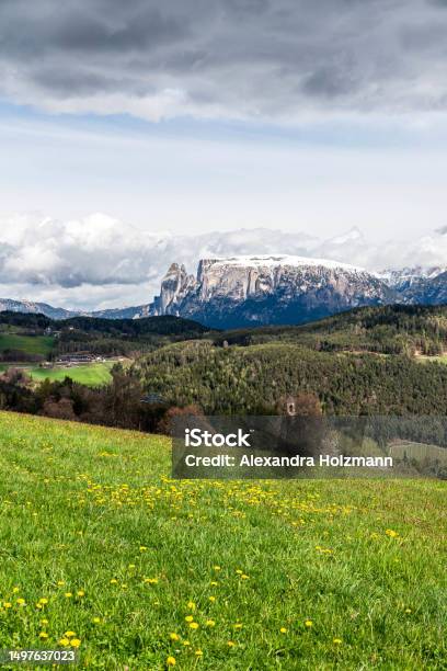 Beautiful Portrait Of The Vajolet Mountain Stock Photo - Download Image Now - Alto Adige - Italy, Beauty, Blue