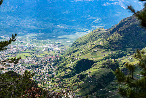 view of the city of bolzano through an evergreen forest. Surrounded by mountains