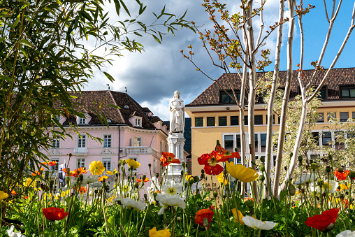famous walther square, landmark of bolzano surrounded by spring flowers