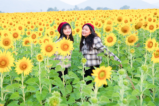 Two young girls playing in the sunflowers field. Summer time.