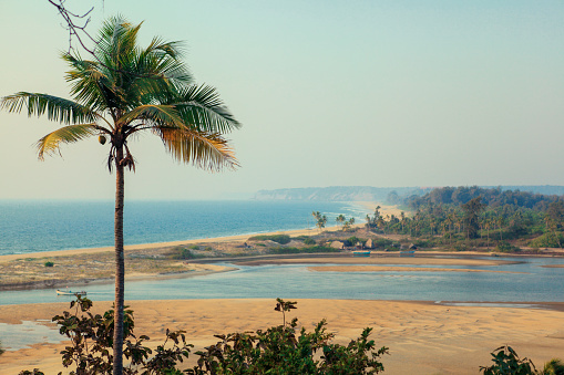 Beauty of Goa Nature with Palm Trees and Beach, India