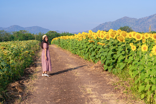 A happy young girl walking in the sunflower field.