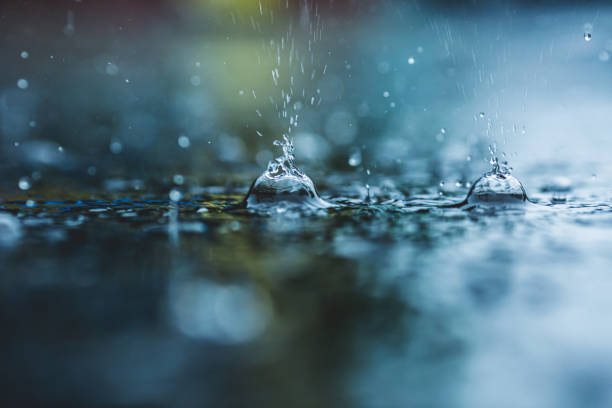 istock Raindrops on asphalt. Torrential rain. Rainy weather. Water drops 1497641086