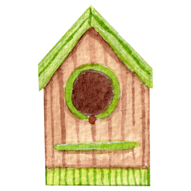 ilustraciones, imágenes clip art, dibujos animados e iconos de stock de acuarela brillante casa de pájaros de madera con techo verde, elemento aislado sobre fondo blanco. - birdhouse wood isolated white background