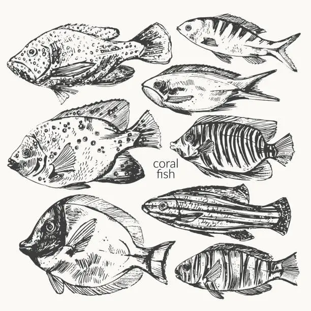 Vector illustration of Vector sea animals illustration