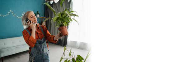 istock Man holding potted plant and calling on mobile phone at home. 1497641904