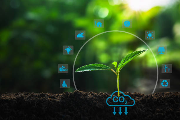 istock small plants growing on soil with sunlight. Environment technology Infographics.Green energy technology concept CO2 1497644730