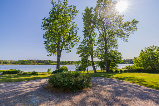 Beautiful view of nature. Green lawn, bushes and tall trees against blue sky in sun's rays background. Sweden.