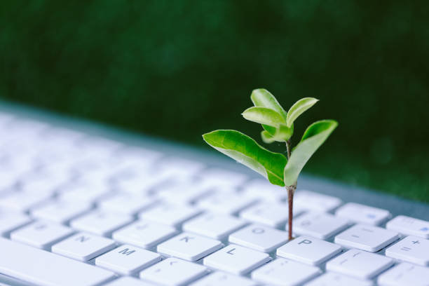 istock Green information technology. Environmentally Sustainable IT. Copy space. Green plant growing on laptop computer keyboard with green background. Environment green technology. 1497654148