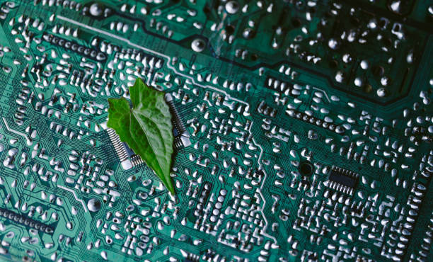 istock Leaf on the converging point of computer circuit board. Green computing, Green technology, Green IT, CSR, and IT ethics. Concept of green technology. Environment green technology. 1497654225