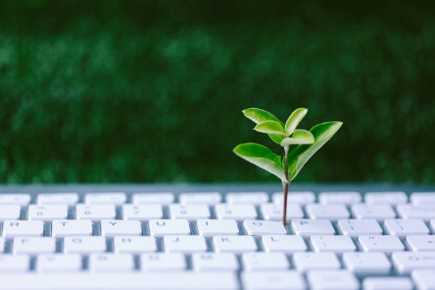 istock Green information technology. Environmentally Sustainable IT. Copy space. Green plant growing on laptop computer keyboard with green background. Environment green technology. 1497654415