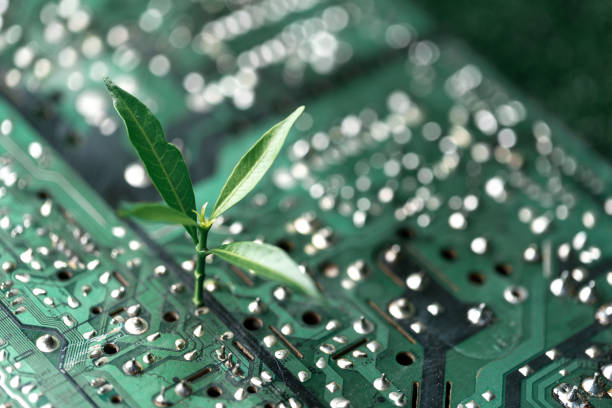 istock Tree growing on the converging point of computer circuit board. Green computing, Green technology, Green IT, CSR, and IT ethics. Concept of green technology. Environment green technology. 1497654594