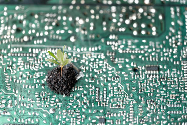 istock Tree growing on the converging point of computer circuit board. Green computing, Green technology, Green IT, CSR, and IT ethics. Concept of green technology. Environment green technology. 1497654622