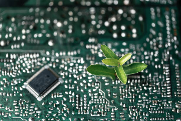 istock Tree growing on the converging point of computer circuit board. Green computing, Green technology, Green IT, CSR, and IT ethics. Concept of green technology. Environment green technology. 1497654653