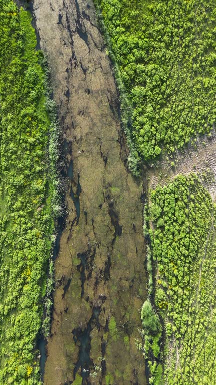 Beautiful aerial view of Lake