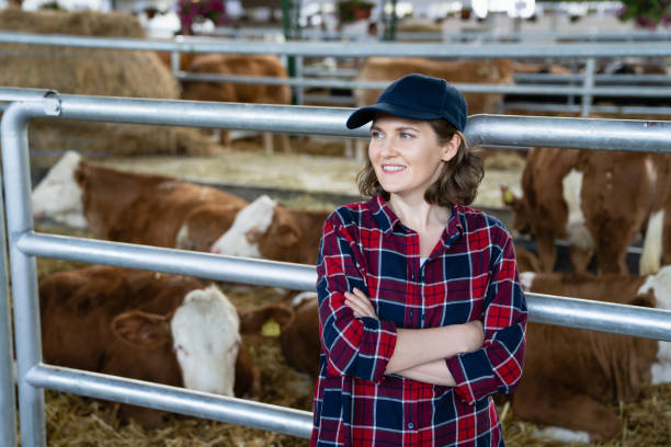 istock Woman farmer at a dairy farm 1497655489