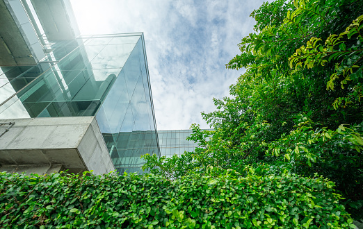 Edificio ecológico sostenible. Edificio ecológico en la ciudad moderna. Edificio de oficinas de vidrio sostenible con árbol para reducir el dióxido de carbono. Oficina con entorno verde. Los edificios corporativos reducen el CO2. photo