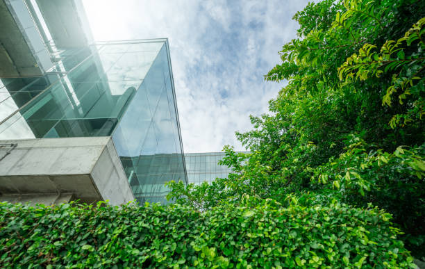 Sustainble green building. Eco-friendly building in modern city. Sustainable glass office building with tree for reducing carbon dioxide. Office with green environment. Corporate building reduce CO2. stock photo