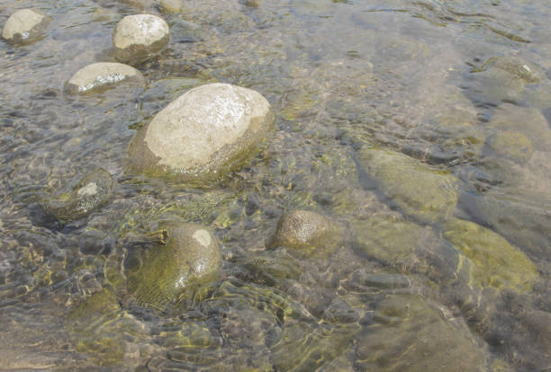 istock Rocks in the water and stagnant 1497655962