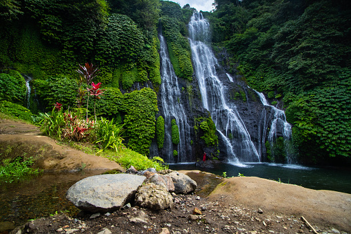 Beautiful Banyumala Twin Waterfall which is located in Wanagiri, Sukasada, Buleleng, Bali, Indonesia. A natural tall waterfall with lots of plants on the rocks with a natural pool at the bottom.