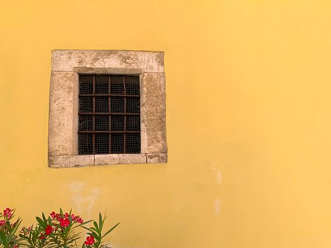 Old window on yellow wall with flower in the garden