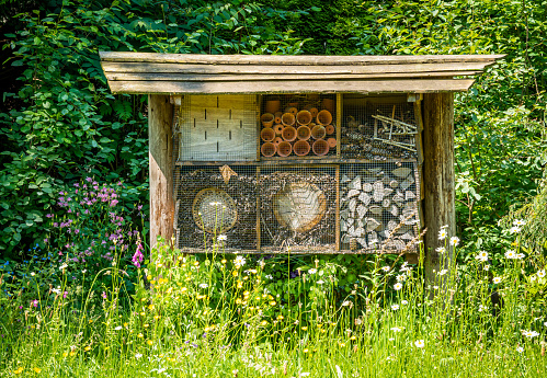 Beautiful insect hotel in spring meadow, a bug house in a flower field