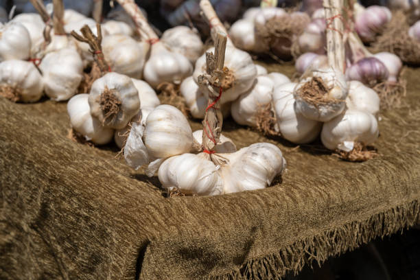 istock fresh garlics at the local market 1497662586