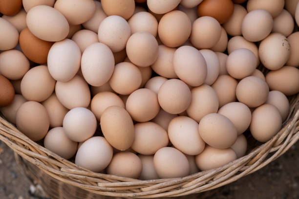 istock fresh eggs at the local market 1497665874