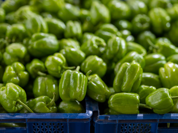 istock fresh peppers at the local market 1497666023