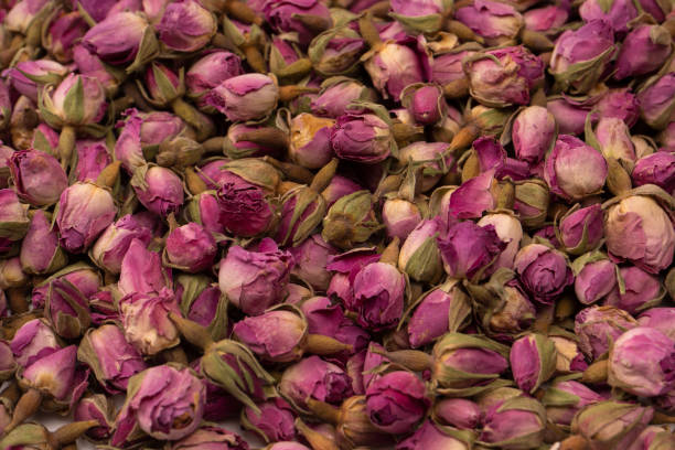 istock Dry tea roses isolated on white background. 1497666068