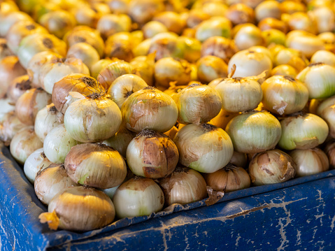fresh onions at the local market