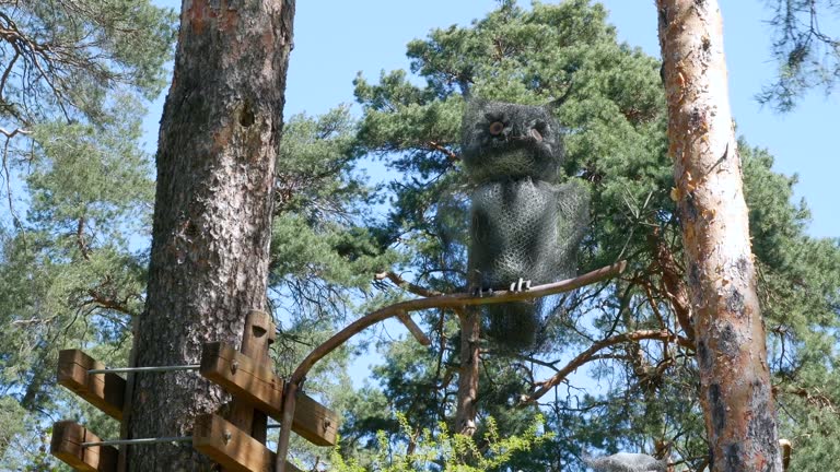 A metal owl sits on a pine branch