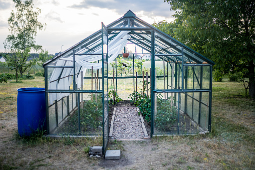 small greenhouse in the garden