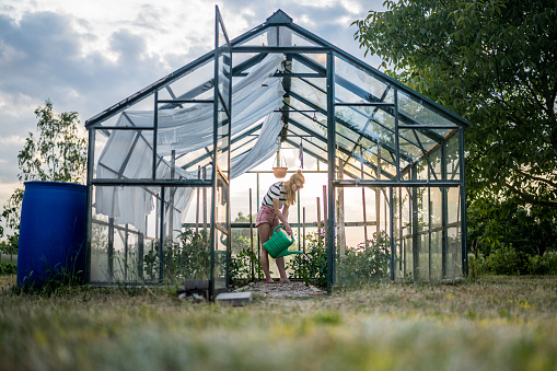 Gardening.