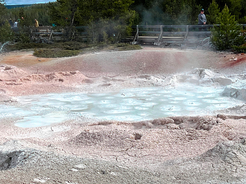 May 24, 2023 -  Yellowstone National Park, USA - Visitors explore one of more than 10,000 thermal features in Yellowstone. Research on heat-resistant microbes in the park’s thermal areas has led to medical, forensic, and commercial uses.