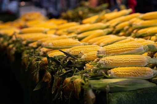 fresh sweet corn at the local market