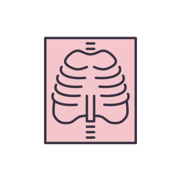 X-ray related vector icon. X-ray related vector line icon. Rib. Isolated on white background. Vector illustration. Editable stroke clip art of rib cage stock illustrations